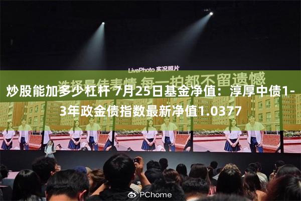 炒股能加多少杠杆 7月25日基金净值：淳厚中债1-3年政金债指数最新净值1.0377