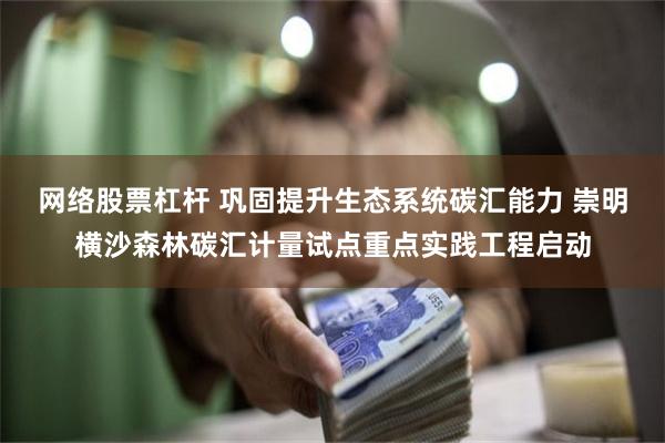 网络股票杠杆 巩固提升生态系统碳汇能力 崇明横沙森林碳汇计量试点重点实践工程启动