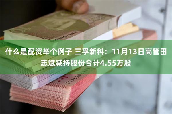 什么是配资举个例子 三孚新科：11月13日高管田志斌减持股份合计4.55万股