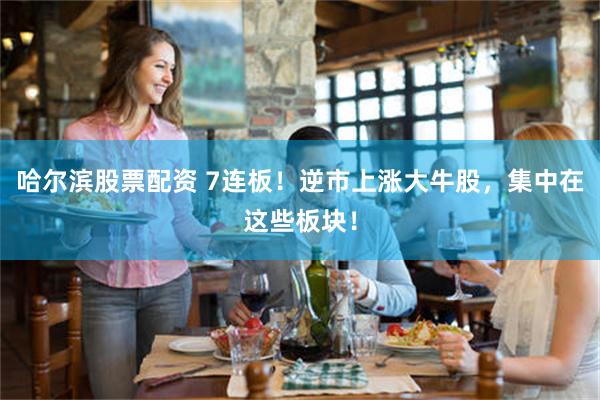 哈尔滨股票配资 7连板！逆市上涨大牛股，集中在这些板块！