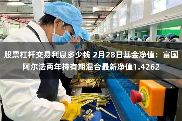 股票杠杆交易利息多少钱 2月28日基金净值：富国阿尔法两年持有期混合最新净值1.4262