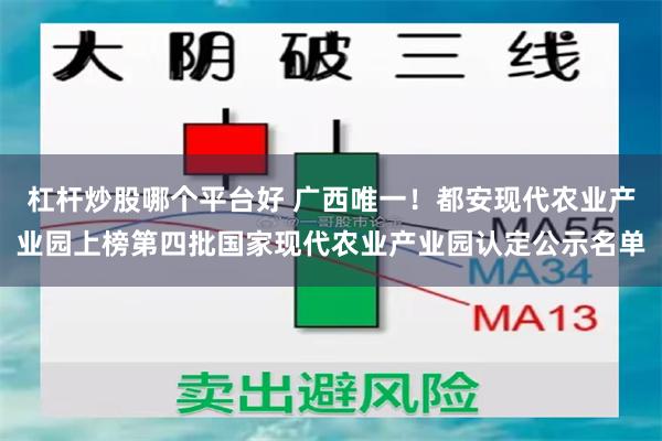 杠杆炒股哪个平台好 广西唯一！都安现代农业产业园上榜第四批国家现代农业产业园认定公示名单