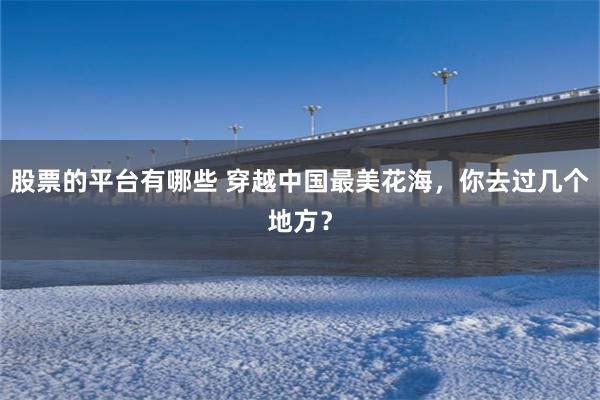 股票的平台有哪些 穿越中国最美花海，你去过几个地方？