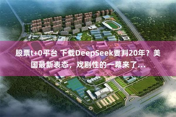 股票t+0平台 下载DeepSeek要判20年？美国最新表态，戏剧性的一幕来了…