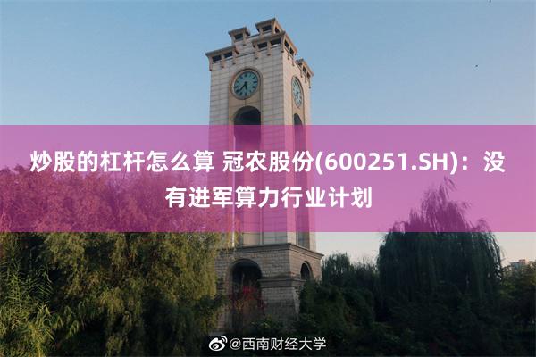 炒股的杠杆怎么算 冠农股份(600251.SH)：没有进军算力行业计划
