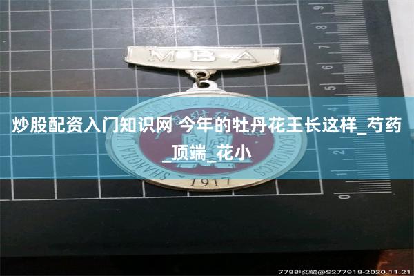 炒股配资入门知识网 今年的牡丹花王长这样_芍药_顶端_花小