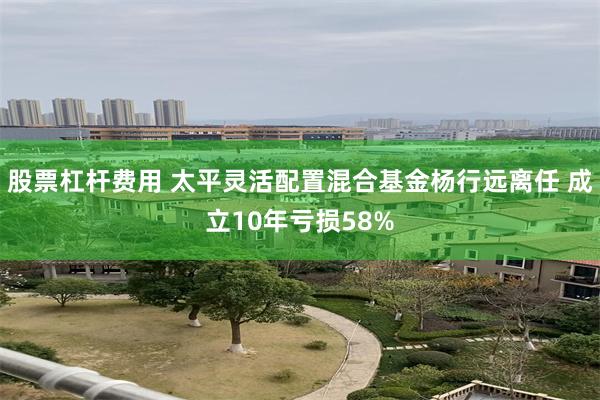 股票杠杆费用 太平灵活配置混合基金杨行远离任 成立10年亏损58%