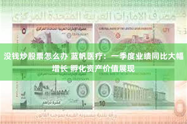 没钱炒股票怎么办 蓝帆医疗：一季度业绩同比大幅增长 孵化资产价值展现