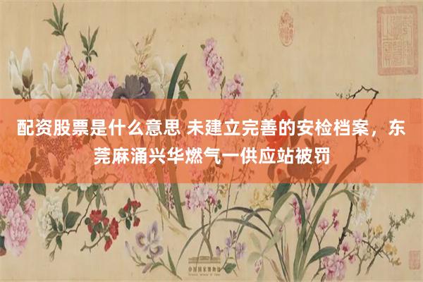 配资股票是什么意思 未建立完善的安检档案，东莞麻涌兴华燃气一供应站被罚