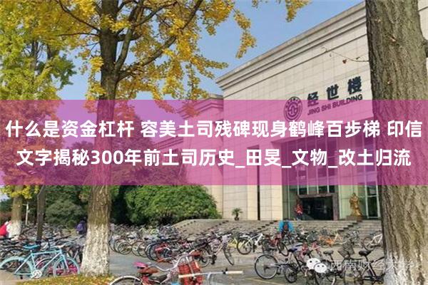 什么是资金杠杆 容美土司残碑现身鹤峰百步梯 印信文字揭秘300年前土司历史_田旻_文物_改土归流