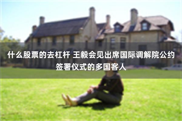 什么股票的去杠杆 王毅会见出席国际调解院公约签署仪式的多国客人