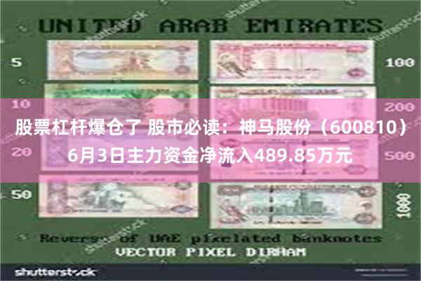 股票杠杆爆仓了 股市必读：神马股份（600810）6月3日主力资金净流入489.85万元