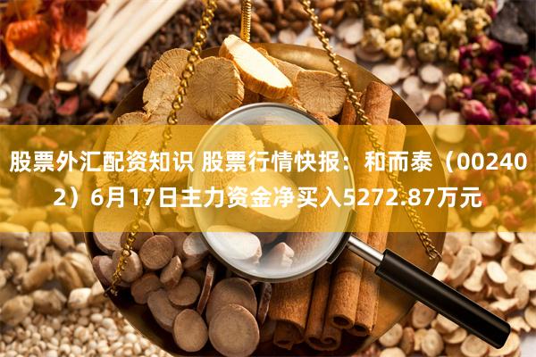 股票外汇配资知识 股票行情快报：和而泰（002402）6月17日主力资金净买入5272.87万元