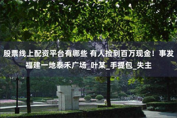 股票线上配资平台有哪些 有人捡到百万现金！事发福建一地泰禾广场_叶某_手提包_失主