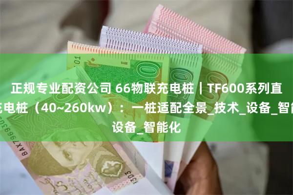 正规专业配资公司 66物联充电桩｜TF600系列直流充电桩（40~260kw）：一桩适配全景_技术_设备_智能化