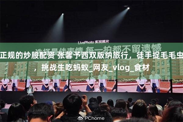 正规的炒股配资 张馨予西双版纳旅行，徒手捉毛毛虫，挑战生吃蚂蚁_网友_vlog_食材