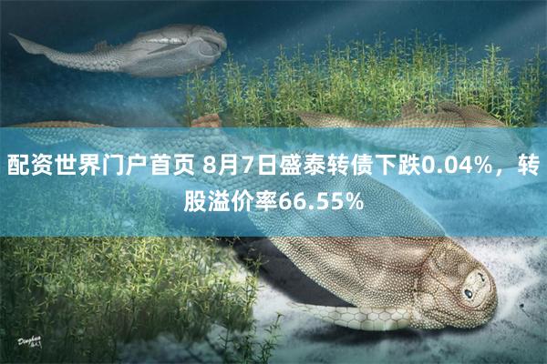 配资世界门户首页 8月7日盛泰转债下跌0.04%，转股溢价率66.55%