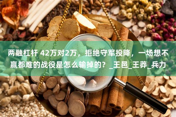 两融杠杆 42万对2万，拒绝守军投降，一场想不赢都难的战役是怎么输掉的？_王邑_王莽_兵力