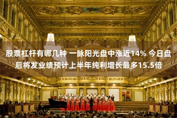股票杠杆有哪几种 一脉阳光盘中涨近14% 今日盘后将发业绩预计上半年纯利增长最多15.5倍