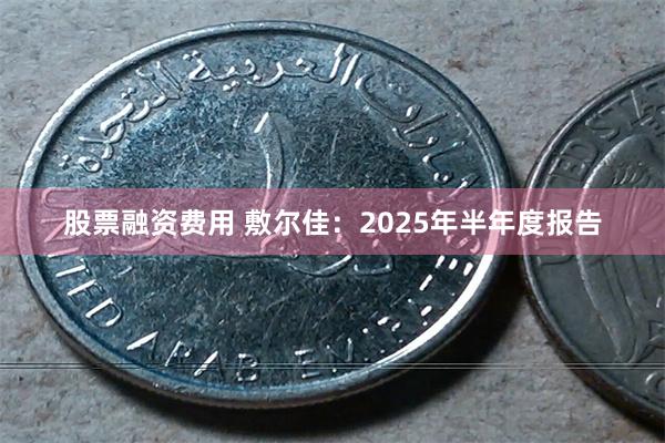 股票融资费用 敷尔佳：2025年半年度报告